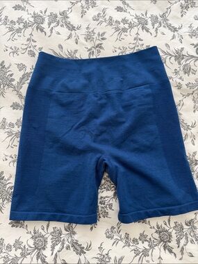 Inaka Seamless High-Rise Bike Shorts — Blue